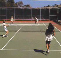 webphoto9.gif (24528 bytes)